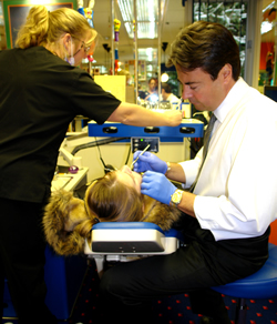 Dr. Cardarelli working at the lab